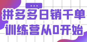 拼多多日销千单训练营从0开始-财仔梦想资源网