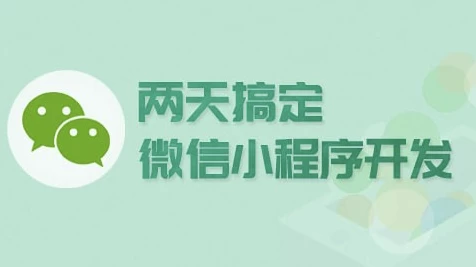 两天搞定微信小程序开发–带源码课件-财仔梦想资源网