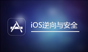 IOS逆向与安全-财仔梦想资源网