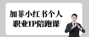 加菲小红书个人职业IP陪跑课-财仔梦想资源网