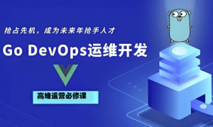 GoGolangDevOps运维开发实战集训营-财仔梦想资源网