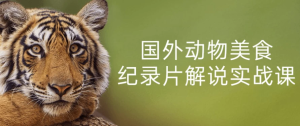 国外动物美食纪录片解说实战课-财仔梦想资源网