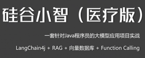 Java企业级大模型应用项目|小智医疗（LangChain4J实战）-财仔梦想资源网