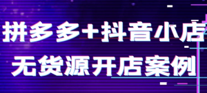 拼多多+抖音小店无货源开店案例-财仔梦想资源网