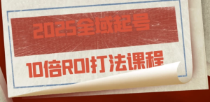 2025全域起号10倍ROI打法课程-财仔梦想资源网