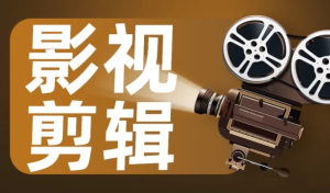 影视剪辑艺术高级课程-财仔梦想资源网