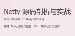 Netty源码剖析与实战-财仔梦想资源网