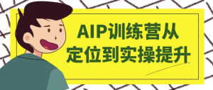AIP训练营从定位到实操提升-财仔梦想资源网