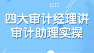 四大审计经理讲审计助理实操-财仔梦想资源网