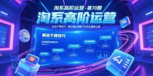 （15307期）淘系高阶运营-第70期，标品干爆技巧，解决难点策略，大佬操盘方法-财仔梦想资源网