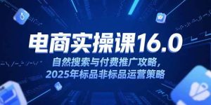 （15262期）淘宝电商运营课16.0，自然搜索与付费推广攻略，2025年标品非标品运营策略-财仔梦想资源网