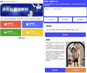 凌印v4.3.0清爽版抖快等去水印工具-财仔梦想资源网