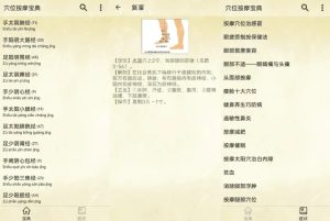 穴位按摩宝典v2.7-财仔梦想资源网