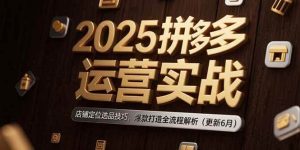 （15235期）2025拼多多运营实战：店铺定位选品技巧，爆款打造全流程解析（更新6月）-财仔梦想资源网
