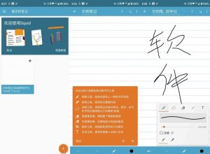 Squid笔记v4.4.1高级版-财仔梦想资源网