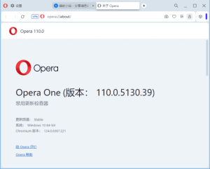 OperaPortable(Opera浏览器)v119.0.5497.141多语便携版-财仔梦想资源网