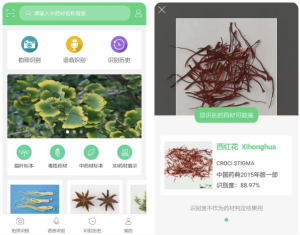照药镜v2.0.4中草药一键识别去广告-财仔梦想资源网