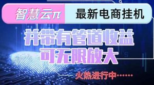 （15314期）智慧云π电脑挂机单机每天收益300—500+并带有团队管道收益可无限放大-财仔梦想资源网