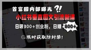（15313期）首富圈内部曝光小红书垂直图文引流新课，日吸300+创业粉，日赚800+，限…-财仔梦想资源网