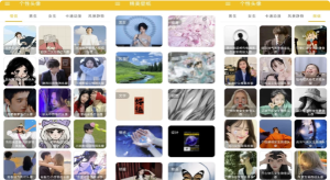 头像定制v1.007解锁去广告-财仔梦想资源网