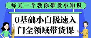 0基础小白极速入门全领域带货课-财仔梦想资源网