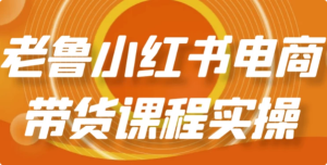 老鲁小红书电商带货课程实操-财仔梦想资源网