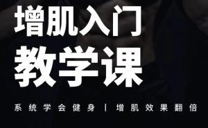 增肌入门教学课-财仔梦想资源网