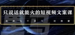 说话就能赚钱的短视频-财仔梦想资源网