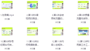 抖音操盘手-从入门到精通-财仔梦想资源网