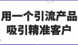 用一个引流产品吸引精准客户-财仔梦想资源网