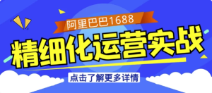 阿里巴巴1688精细化运营实战-财仔梦想资源网