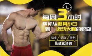 扔掉无效健身！每周3小时，拥有完美身材-财仔梦想资源网