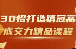 30招打造销冠高成交力精品课程-财仔梦想资源网