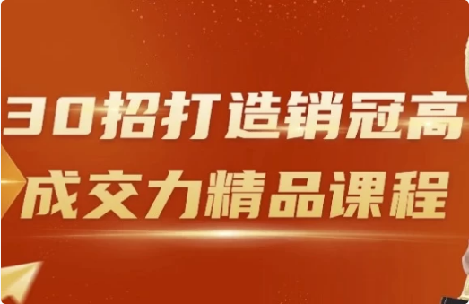 30招打造销冠高成交力精品课程-财仔梦想资源网