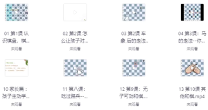 国际象棋零基础教学-财仔梦想资源网