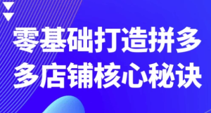 零基础打造拼多多店铺核心秘诀-财仔梦想资源网