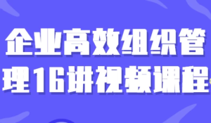 企业高效组织管理16讲视频课程-财仔梦想资源网