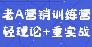 老A营销训练营轻理论+重实战-财仔梦想资源网