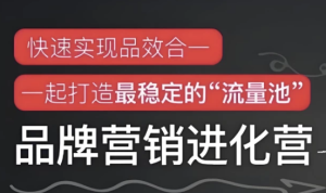 品牌营销进化营-财仔梦想资源网