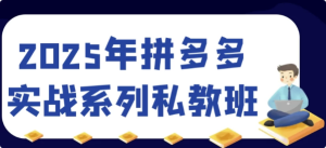 2025年拼多多实战系列私教班-财仔梦想资源网
