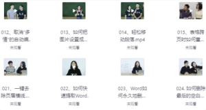 Word从初级到高级-财仔梦想资源网