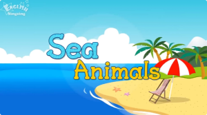 看动画学小学英语-财仔梦想资源网