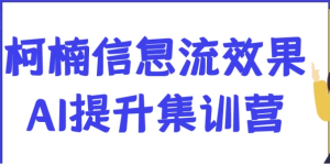 柯楠信息流效果AI提升集训营-财仔梦想资源网