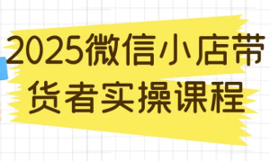 2025微信小店带货者实操课程-财仔梦想资源网