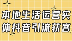 本地生活运营实体抖音引流获客-财仔梦想资源网