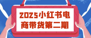 2025小红书电商带货第二期-财仔梦想资源网