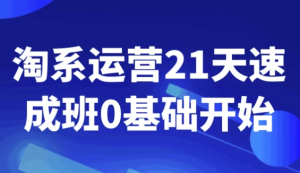 淘系运营21天速成班0基础开始-财仔梦想资源网