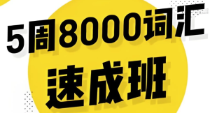 英语5周8000词速成班-财仔梦想资源网