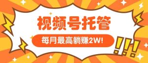 【视频号托管】我提供视频,你每天5分钟复制发布-财仔梦想资源网