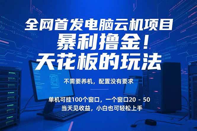 （15323期）电脑云机项目暴力撸金玩法，不需要养机配置没有要求单机100个窗口一…-财仔梦想资源网